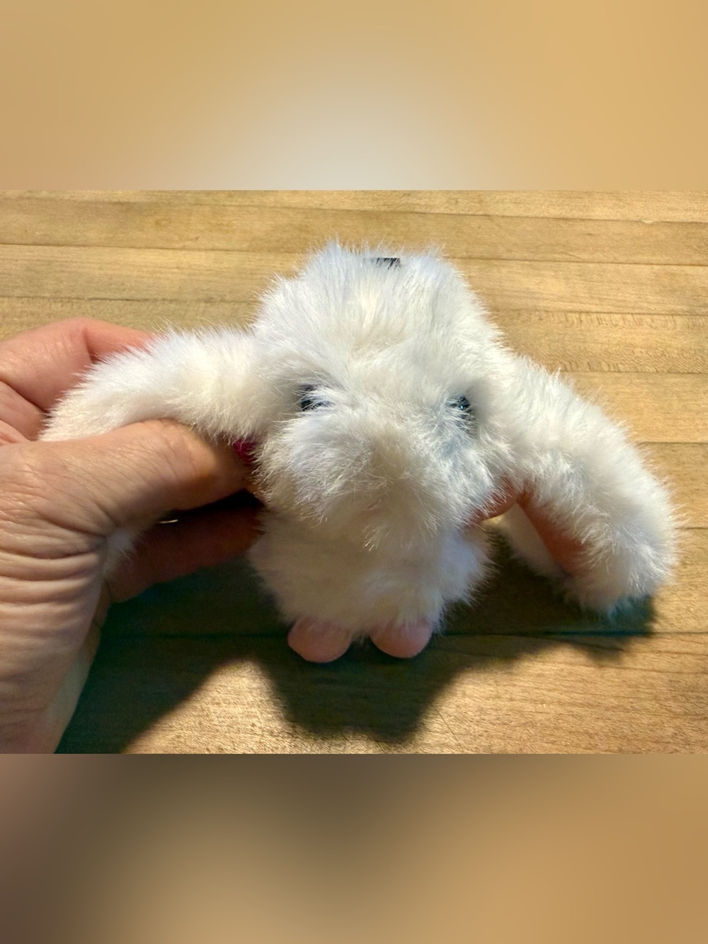 $28.00- Adorable Fluffy White Floppy Eared Bunny Rabbit